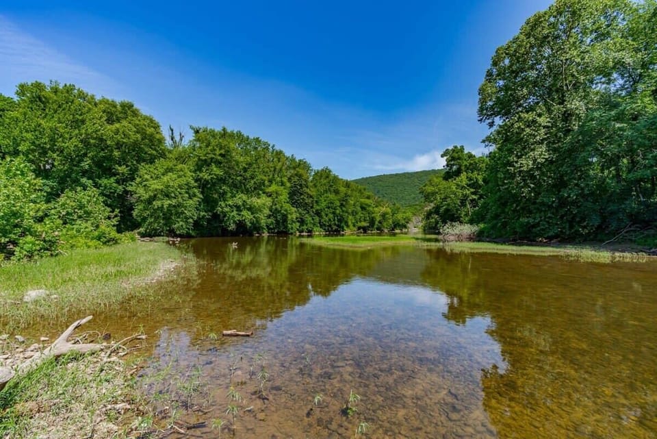 Cacapon river