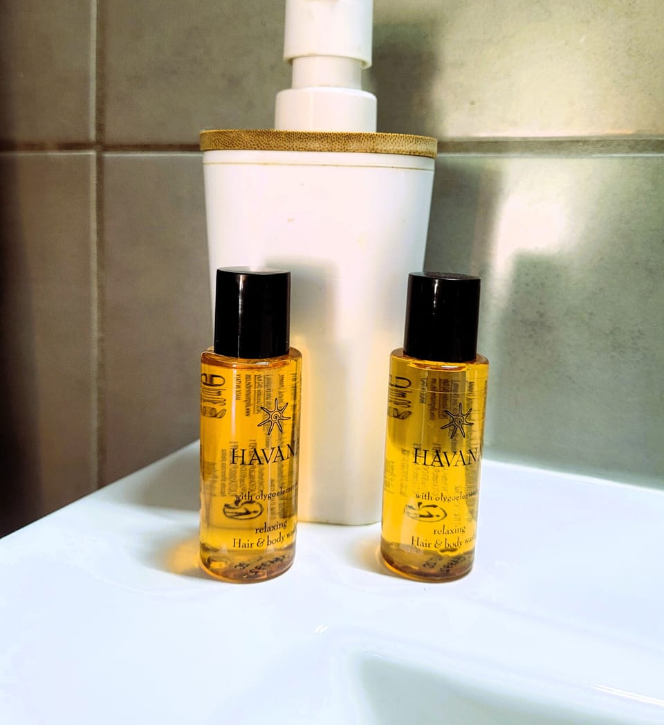 Standard Double Room | Bathroom | Soap, shampoo, toilet paper