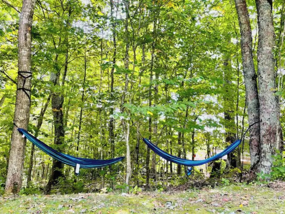 Hammocks in the front yard