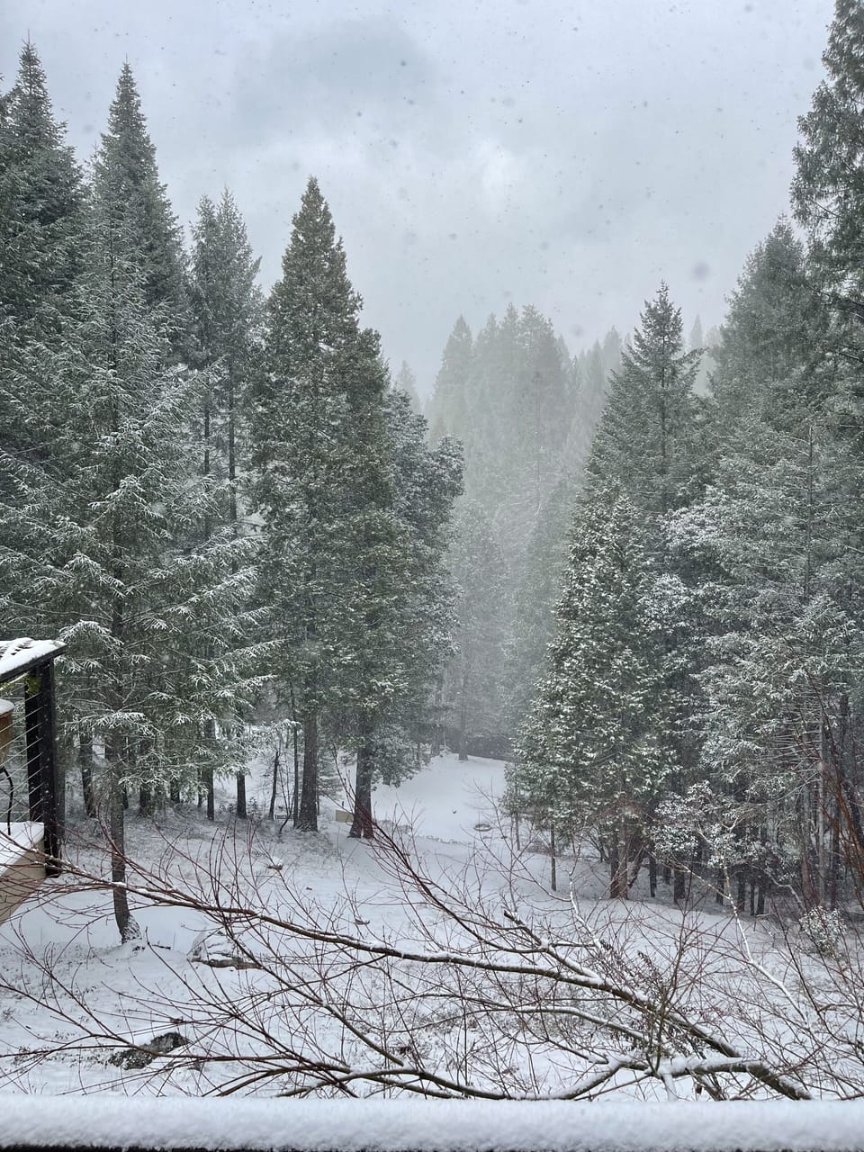 View from property