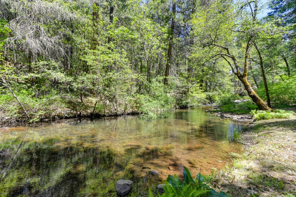 Private creek, deep enough for dipping on a hot day