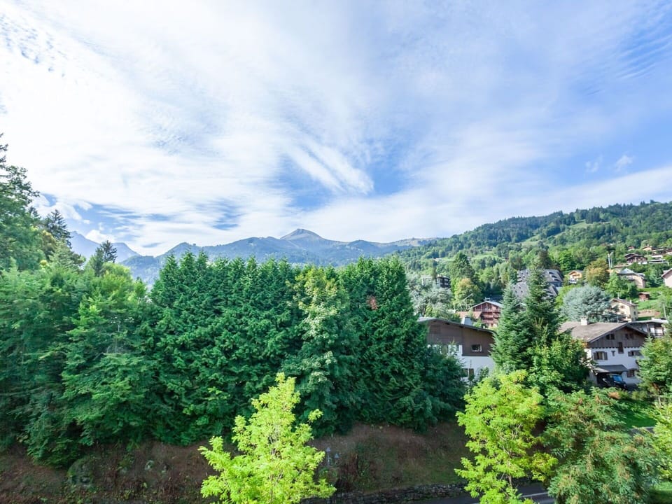 Cloud, Sky, Leaf, Natural Environment, Natural Landscape, Plant, Mountain, Tree, Cumulus, Evergreen