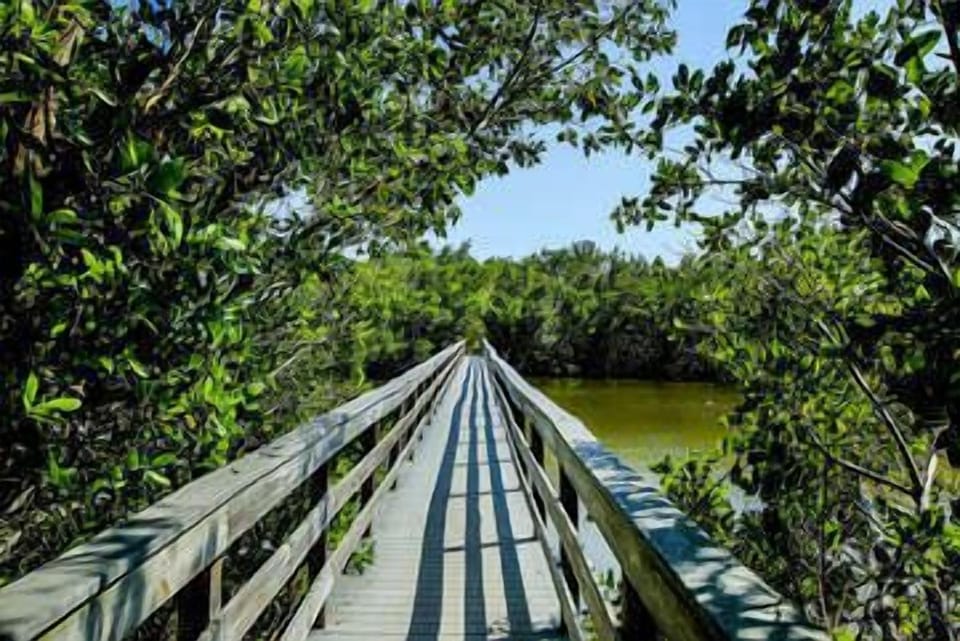 Clam Bayou