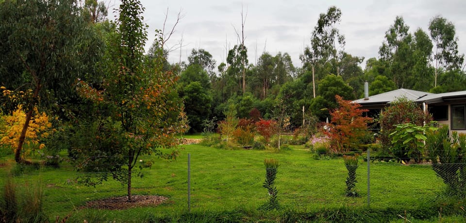 Private garden in Autumn