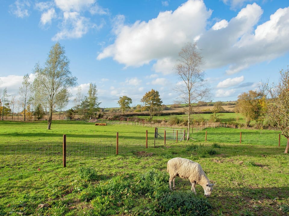 Surrounding area | Knowstone - Secret Skies, Knowstone