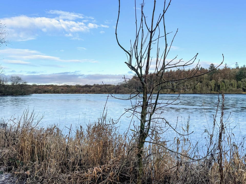 Whitefield Loch a ten minute walk from the cottage | Machermore Cottage, Glenluce, near Newton Stewart