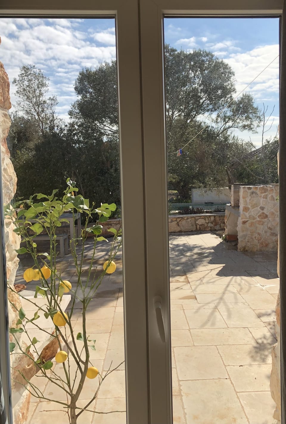 A winter view east from Olive Bedroom towards the patio, orchard, & private pool