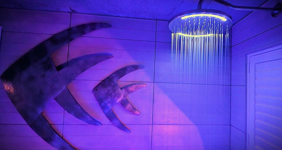 Large rain shower head with LED lighting.