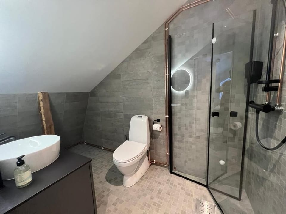 Standard Double Room | Bathroom | Shower, hair dryer, towels, shampoo