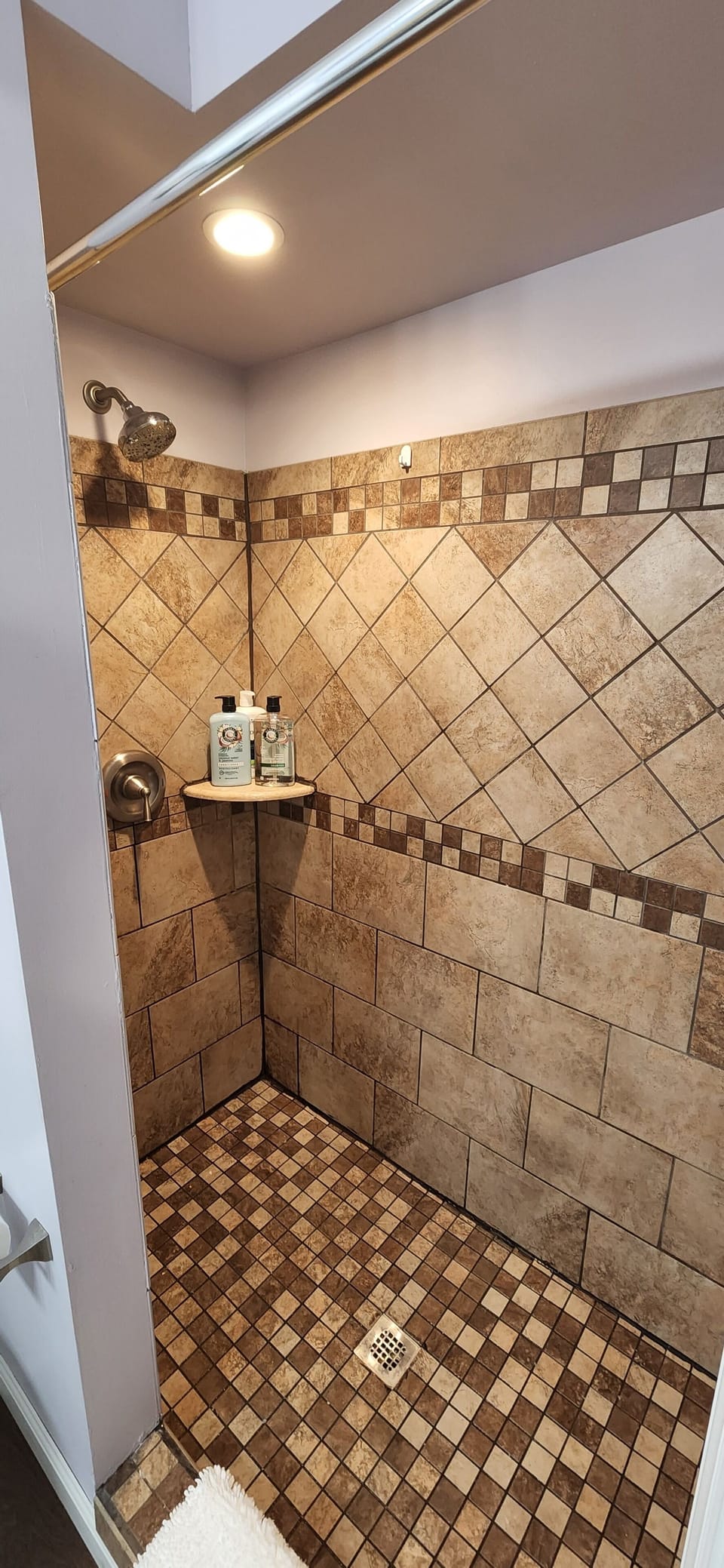Master Bathroom Shower
