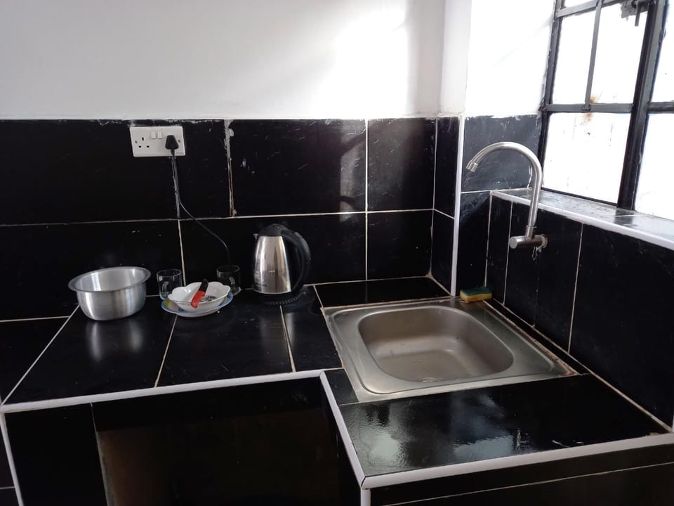 Studio | Private kitchen | Fridge, microwave, oven, stovetop