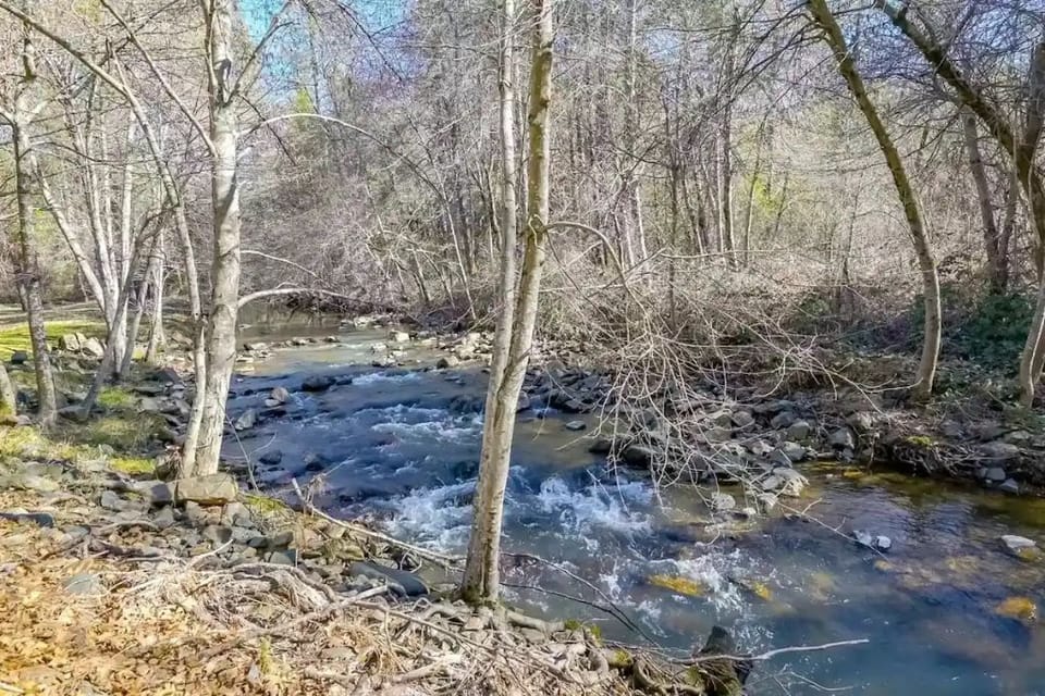 The creek in the backyard