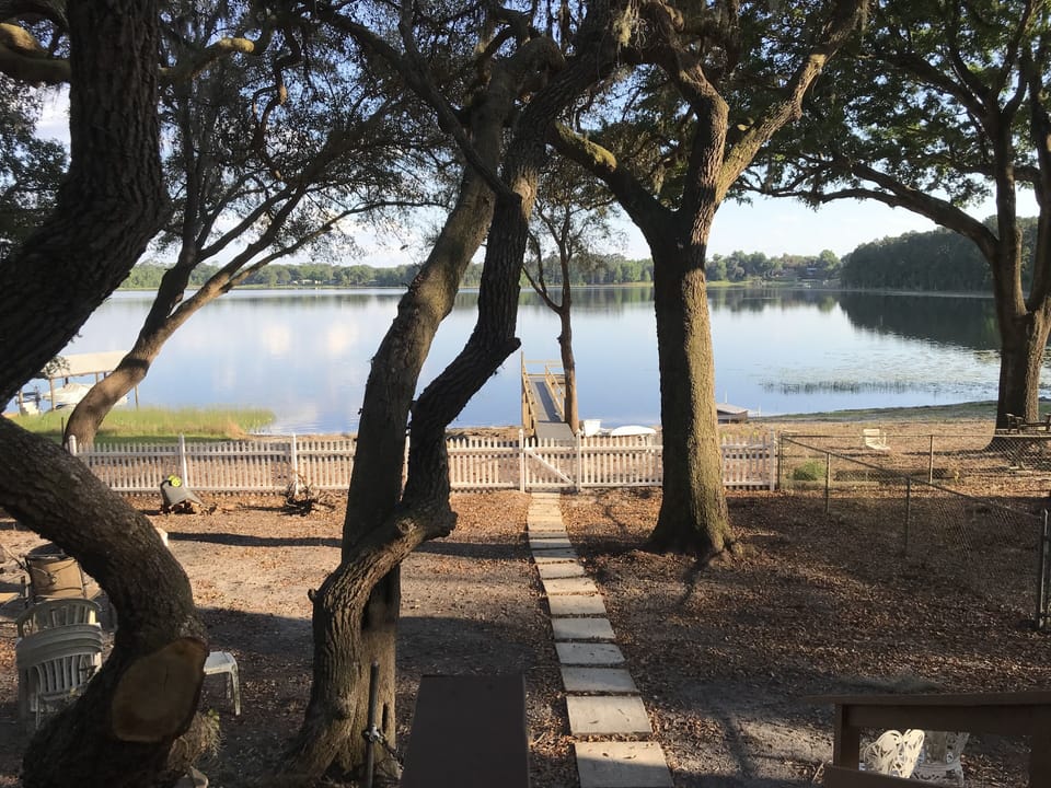 view from the sunroom