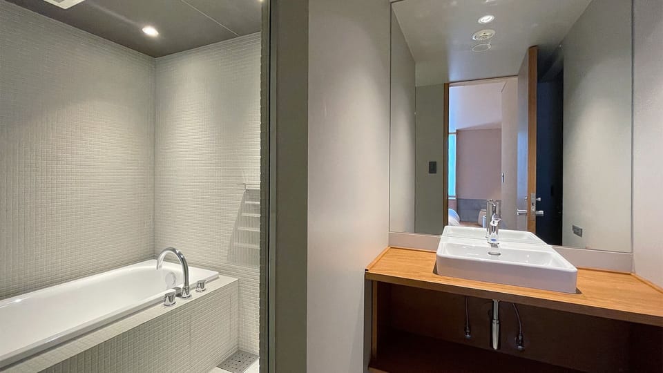 Deluxe Twin Room, Non Smoking | Bathroom | Hair dryer, electronic bidet, towels, soap