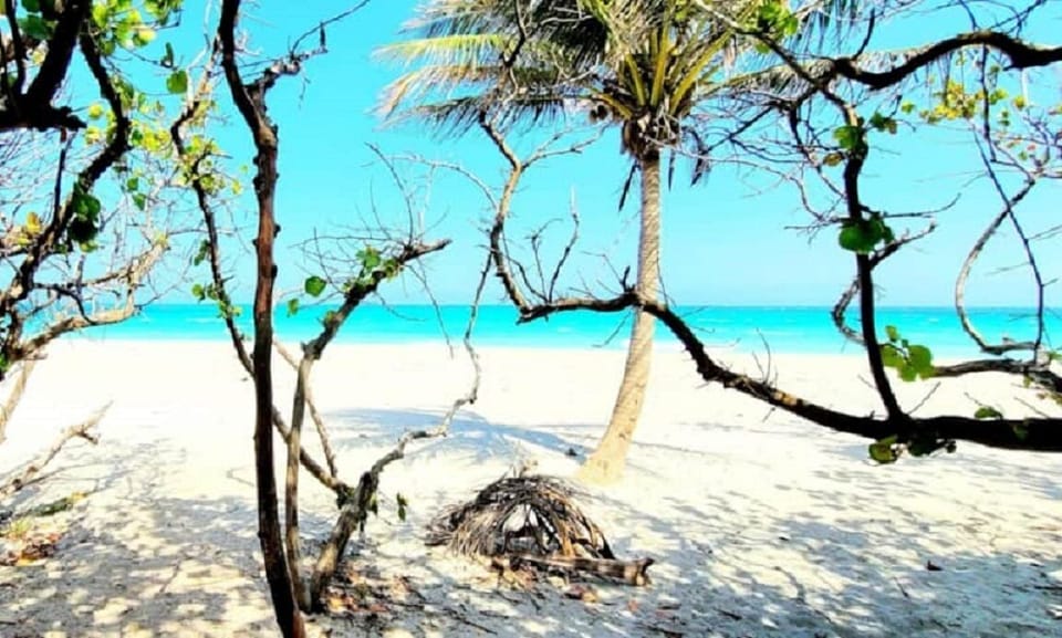 5 Minutes to Jupiter Beach and yes the water is that color!