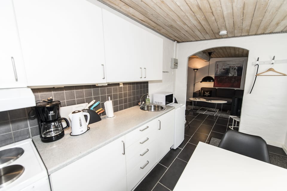 Standard Apartment | Private kitchen | Full-size fridge, microwave, oven, stovetop