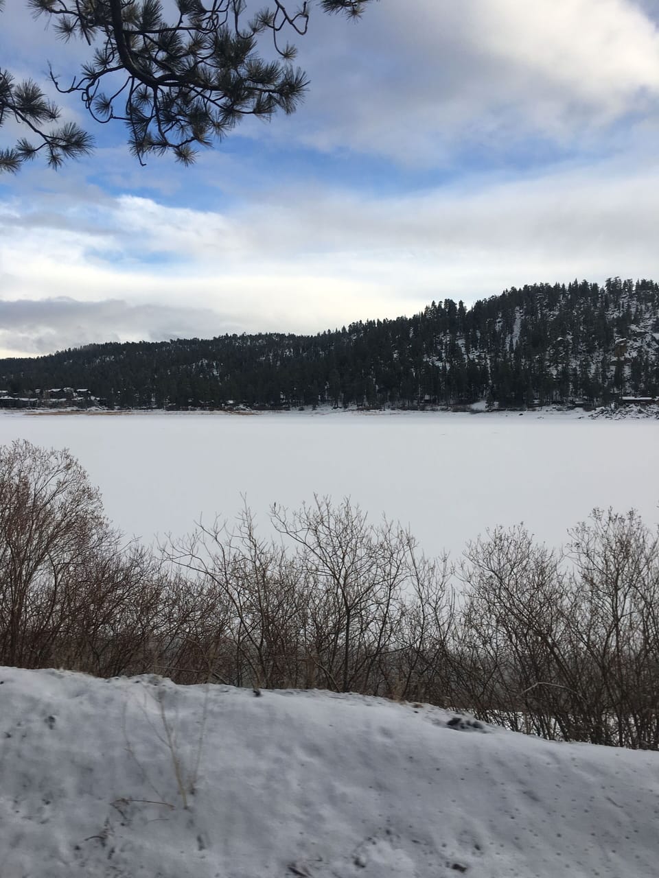 Frozen lake (Winter)