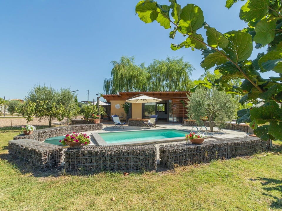 Plant, Sky, Water, Flower, Tree, Building, Swimming Pool, Grass, Shade, Umbrella