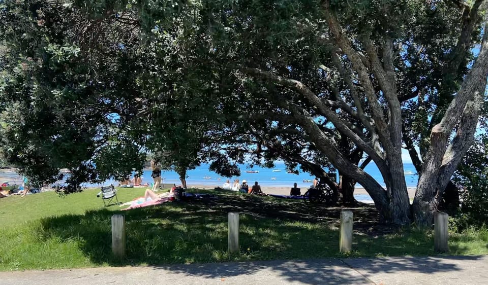 Waiake Beach