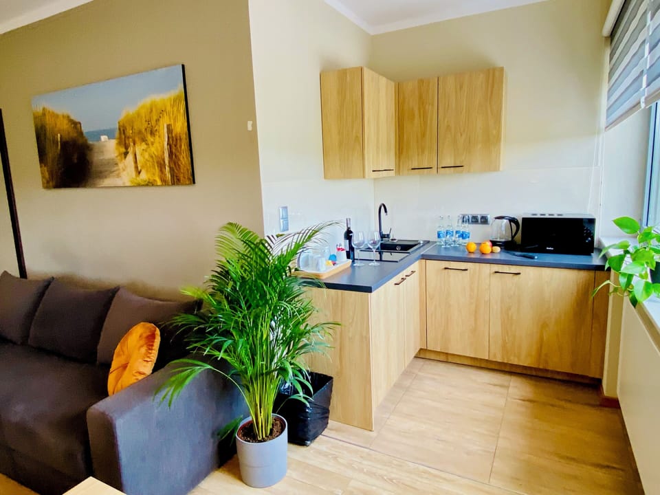 Apartment | Desk, laptop workspace, blackout drapes, soundproofing