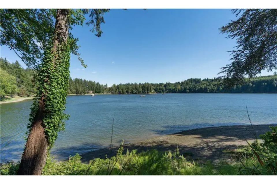 Beach on the property.