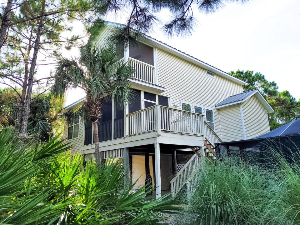 Welcome to Dolphin Dreams!