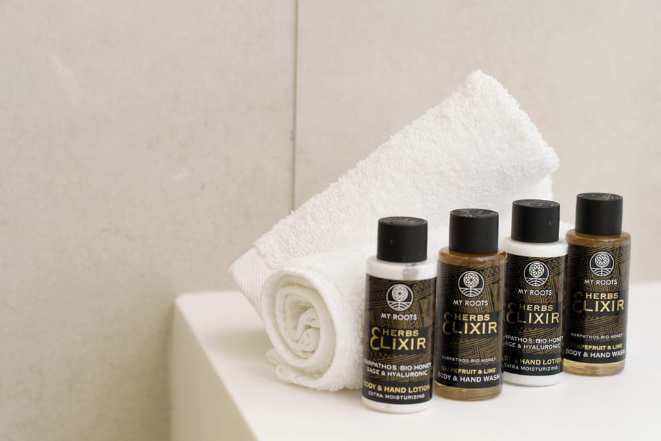 Suite | Bathroom | Shower, free toiletries, hair dryer, towels