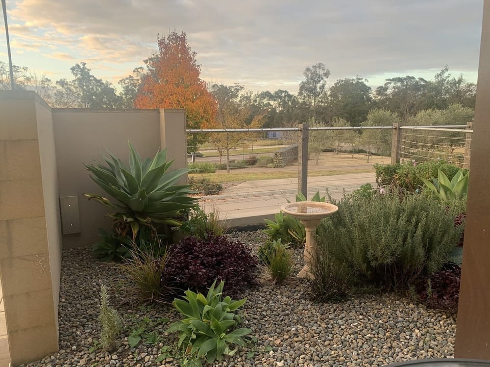 Outside view from verandah