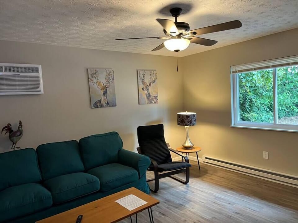 Living room from doorway to kitchen