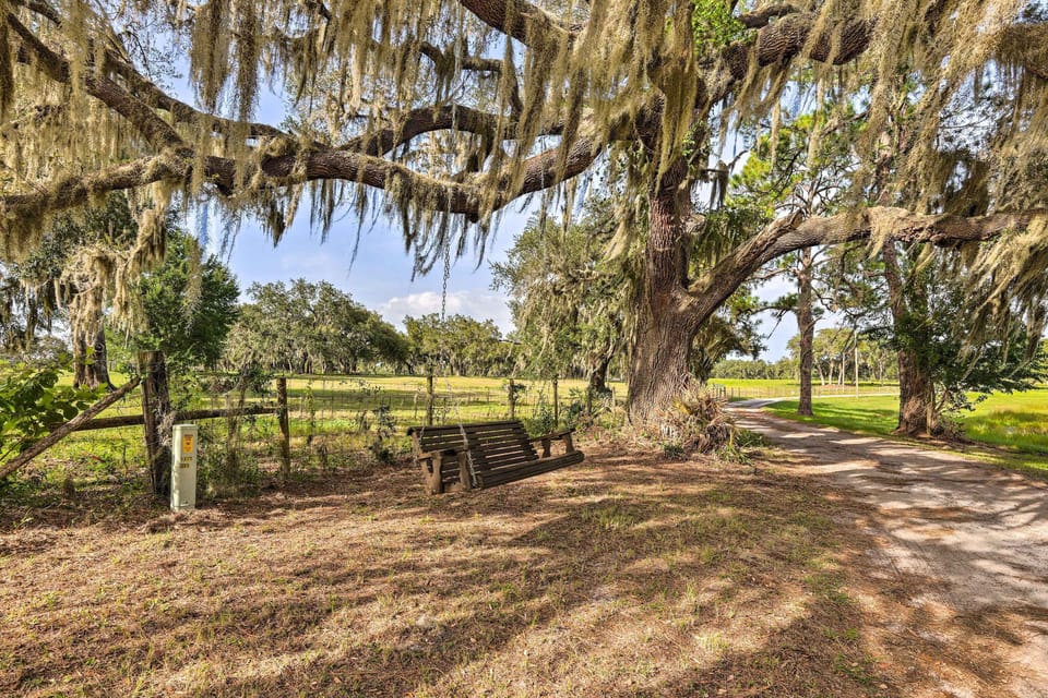 Bench Swing
