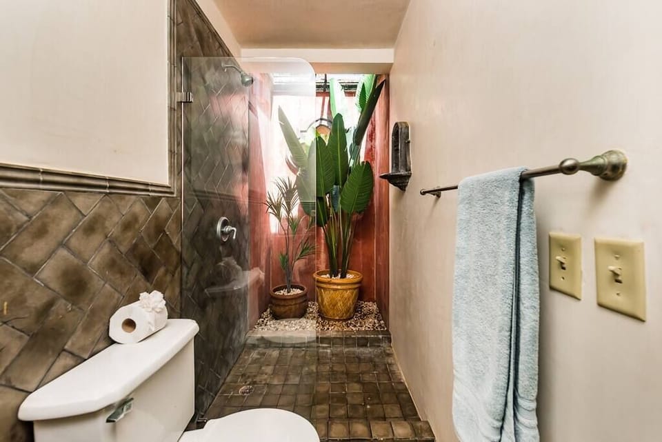 A indoor garden right off your shower. 