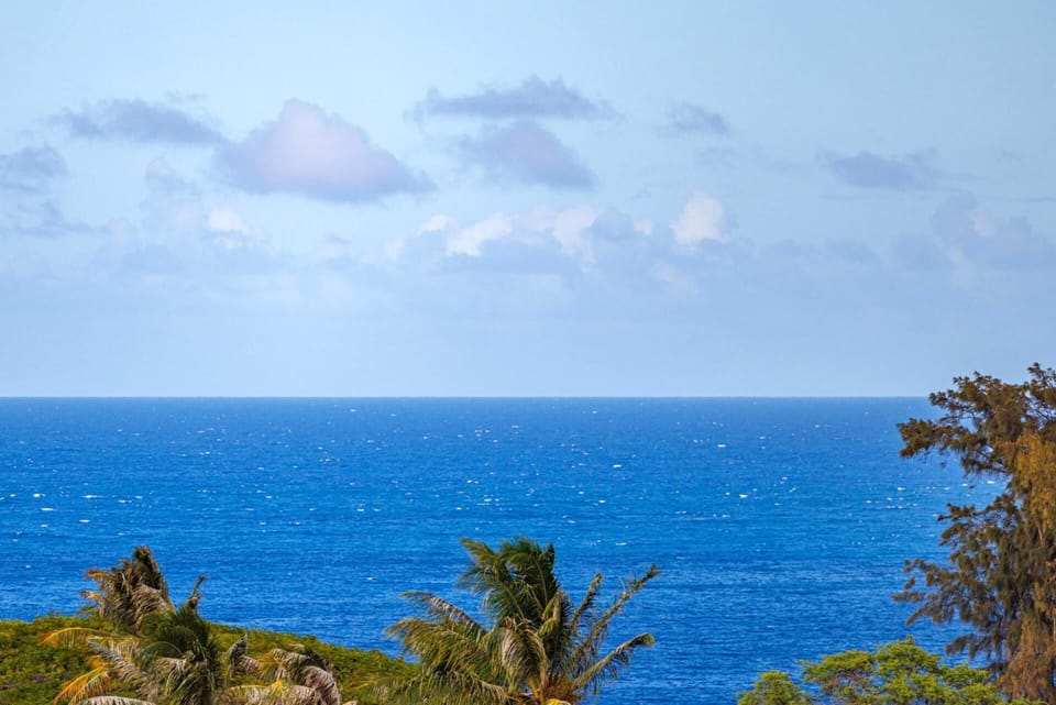 Stunning wide ocean vista beyond the treetops, you can enjoy from your lanai.