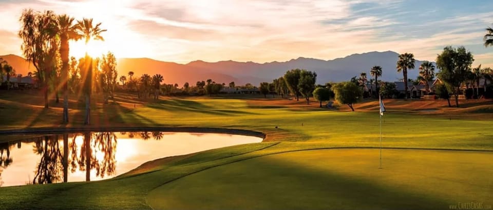 Desert sunsets are always perfection. 