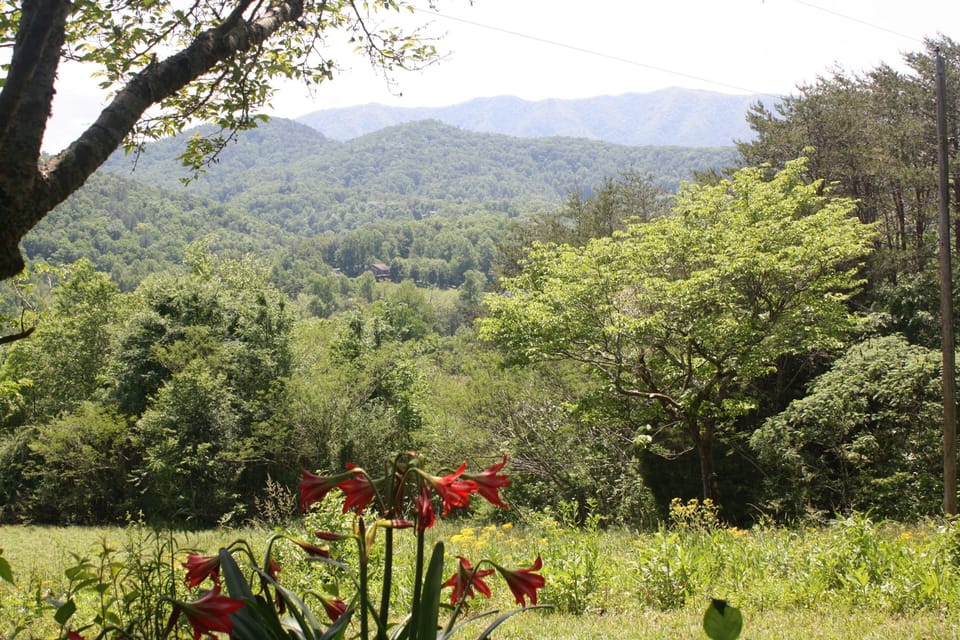 Outdoors, Nature, Field, Countryside, Grassland