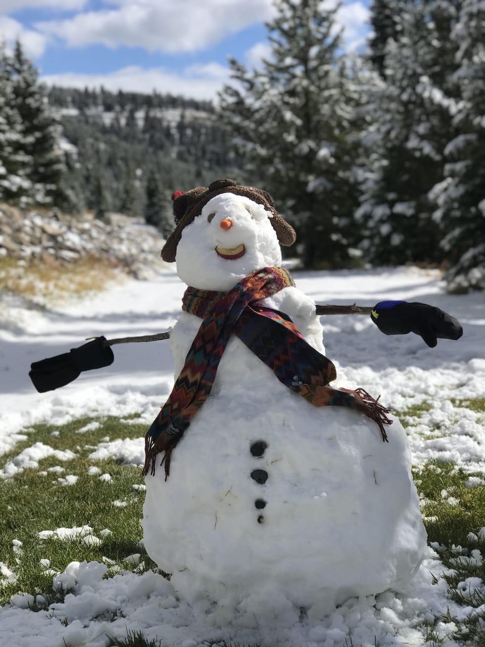 Backyard is great for sledding, snowmen and snowballs