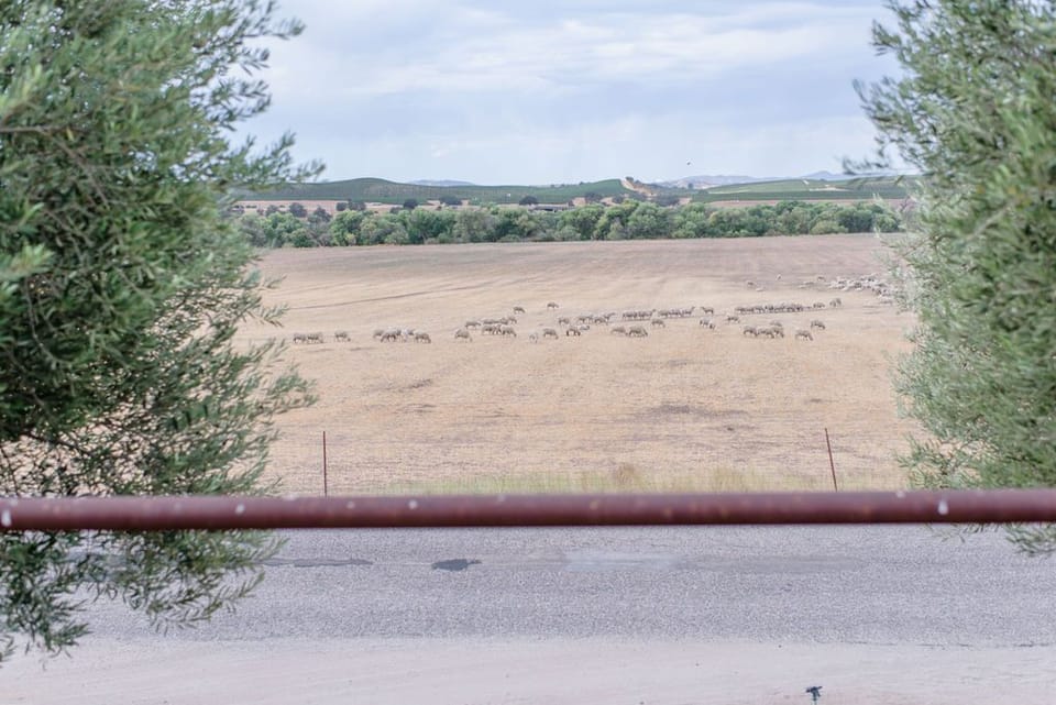 Indian Valley Acorn Retreat (525)