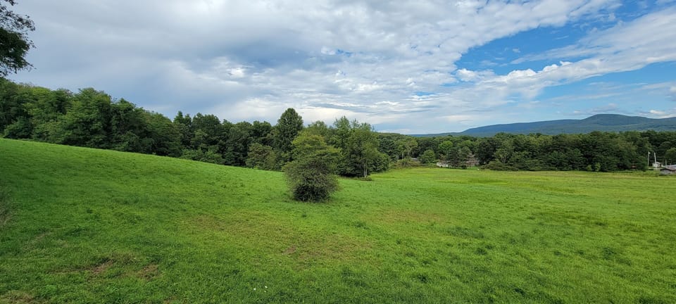 Gorgeous View of Forest and Mountains.