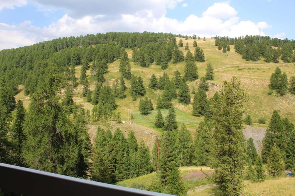 200m from resort center, 3rd floor, balcony, tv, 22m², Vars Apartment in Piedmont