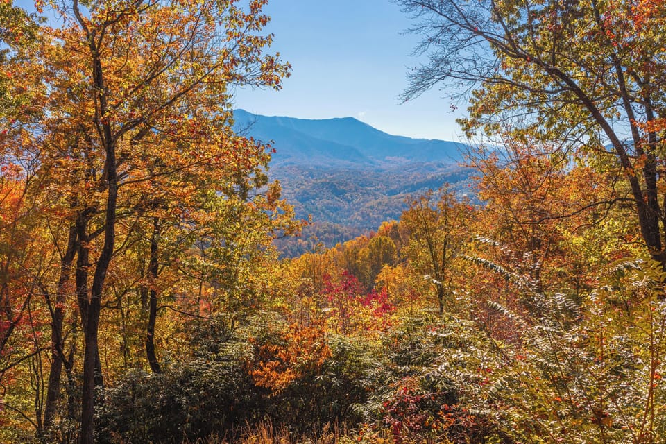 Enjoy sweeping fall views of the Great Smoky Mountains from the upper deck.
