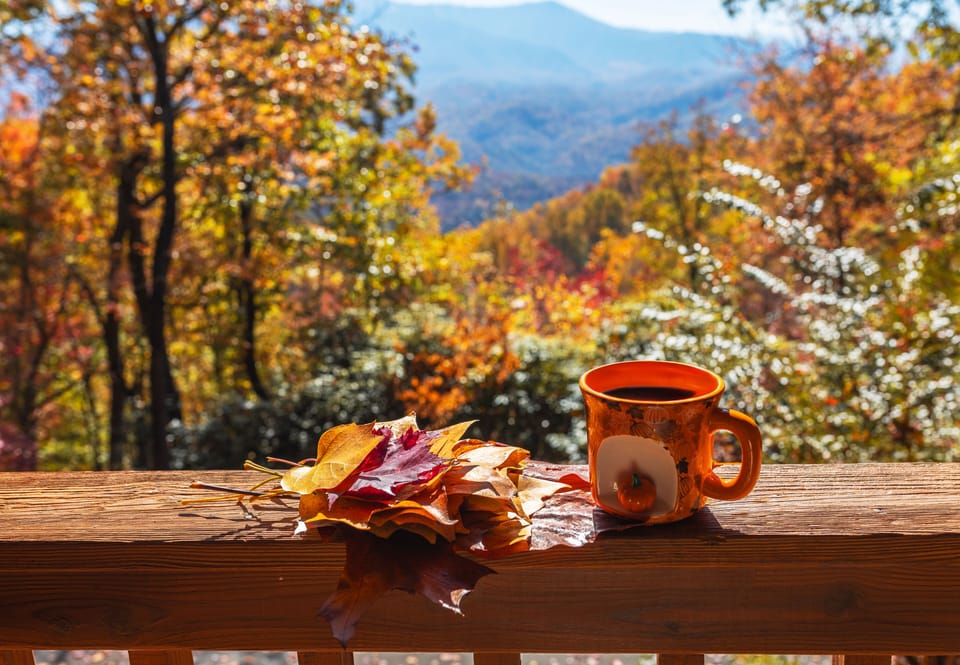 Enjoy leaves' foliage while sipping your favorite coffee.