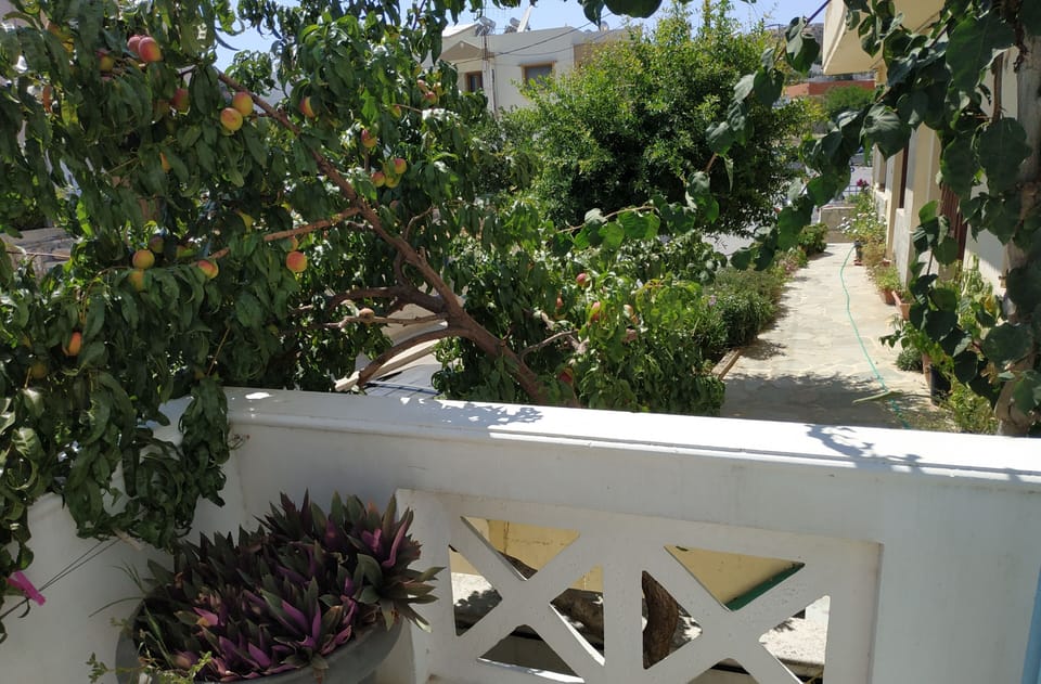 Studio, 1 Bedroom, Balcony | Balcony