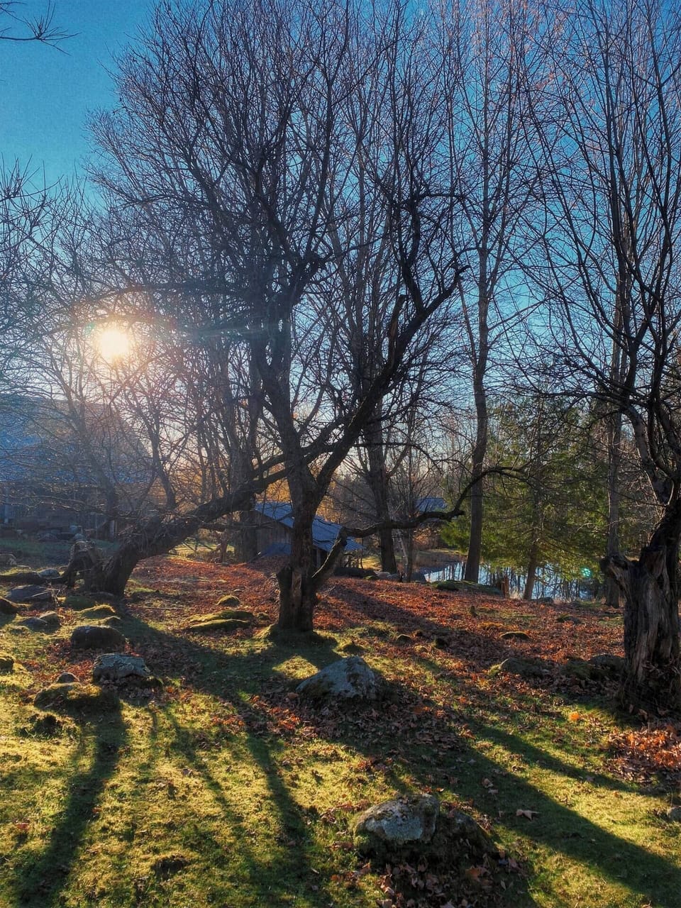 Late autumn — aka "stick season" — is another great time to visit and experience the transition of seasons.
