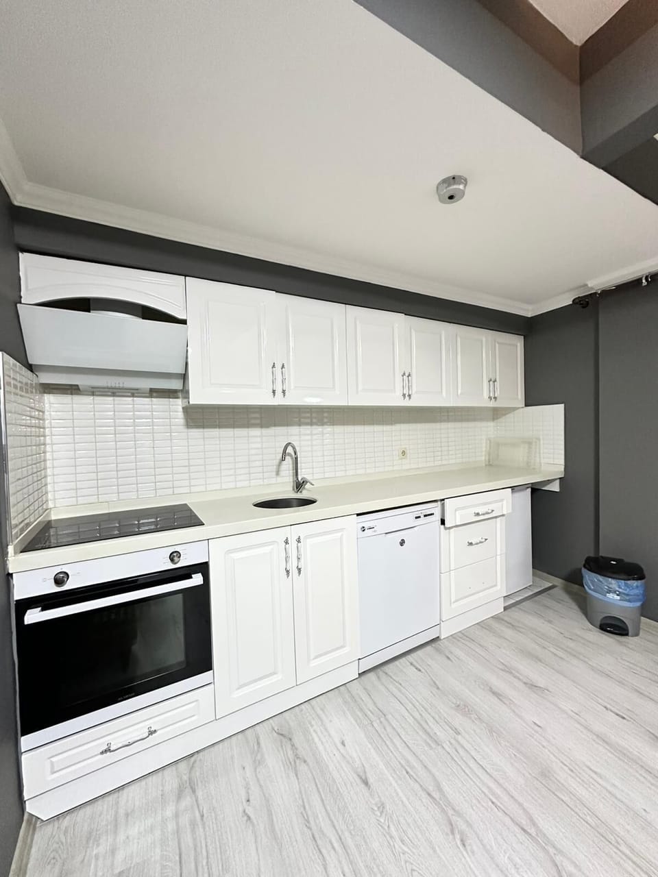 Economy Apartment, 1 Bedroom, Pets Allowed, Park View | Private kitchen | Mini-fridge, oven, stovetop, dishwasher