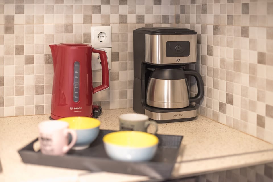 City Double Room | Private kitchen | Full-size fridge, microwave, oven, stovetop