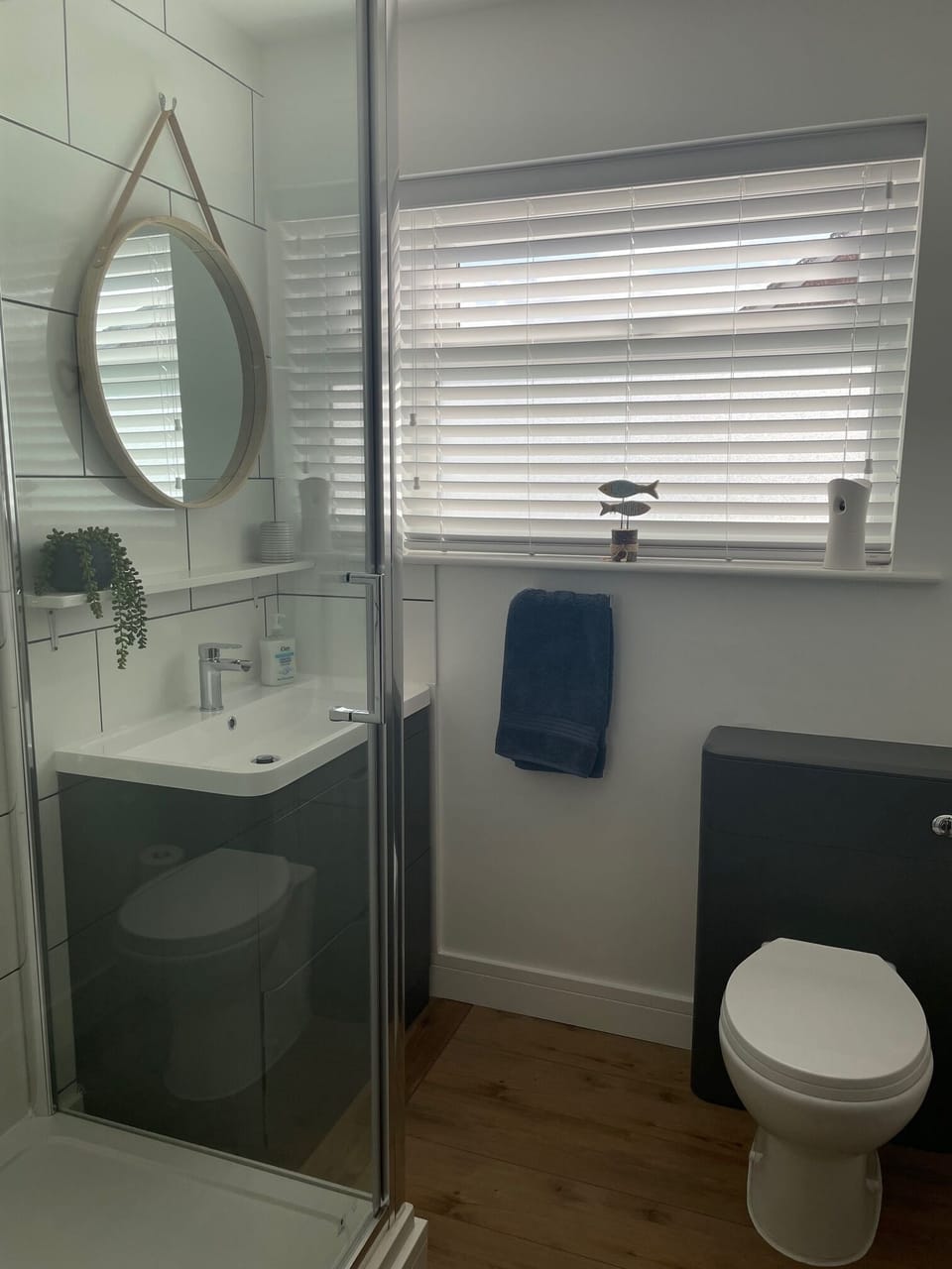 Shower room