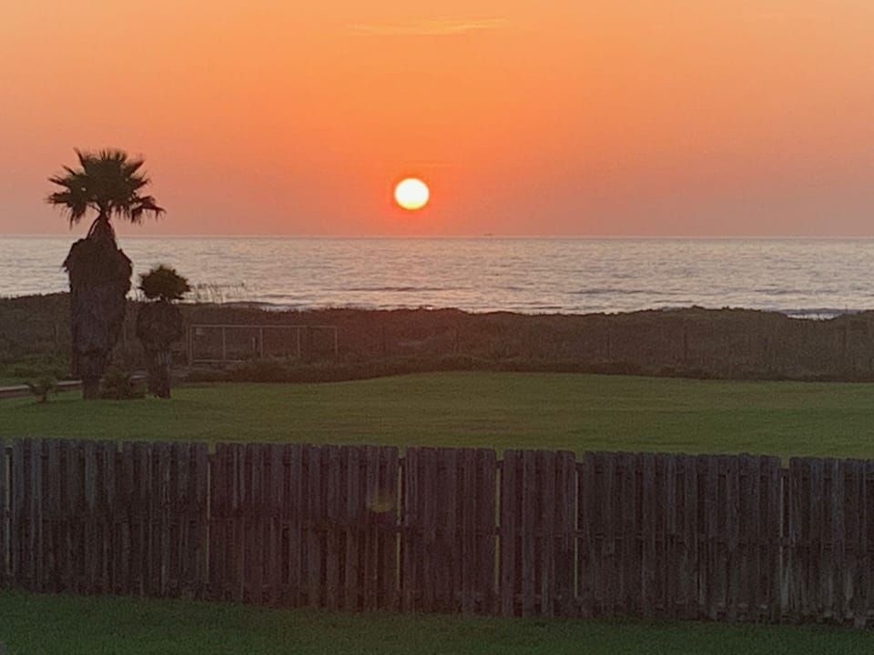 What a way to wake up!
