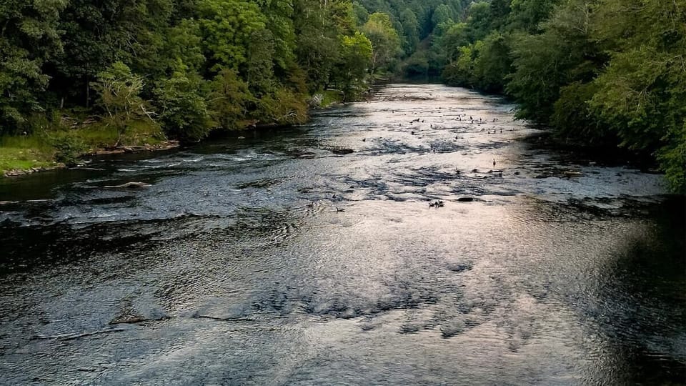 River Life