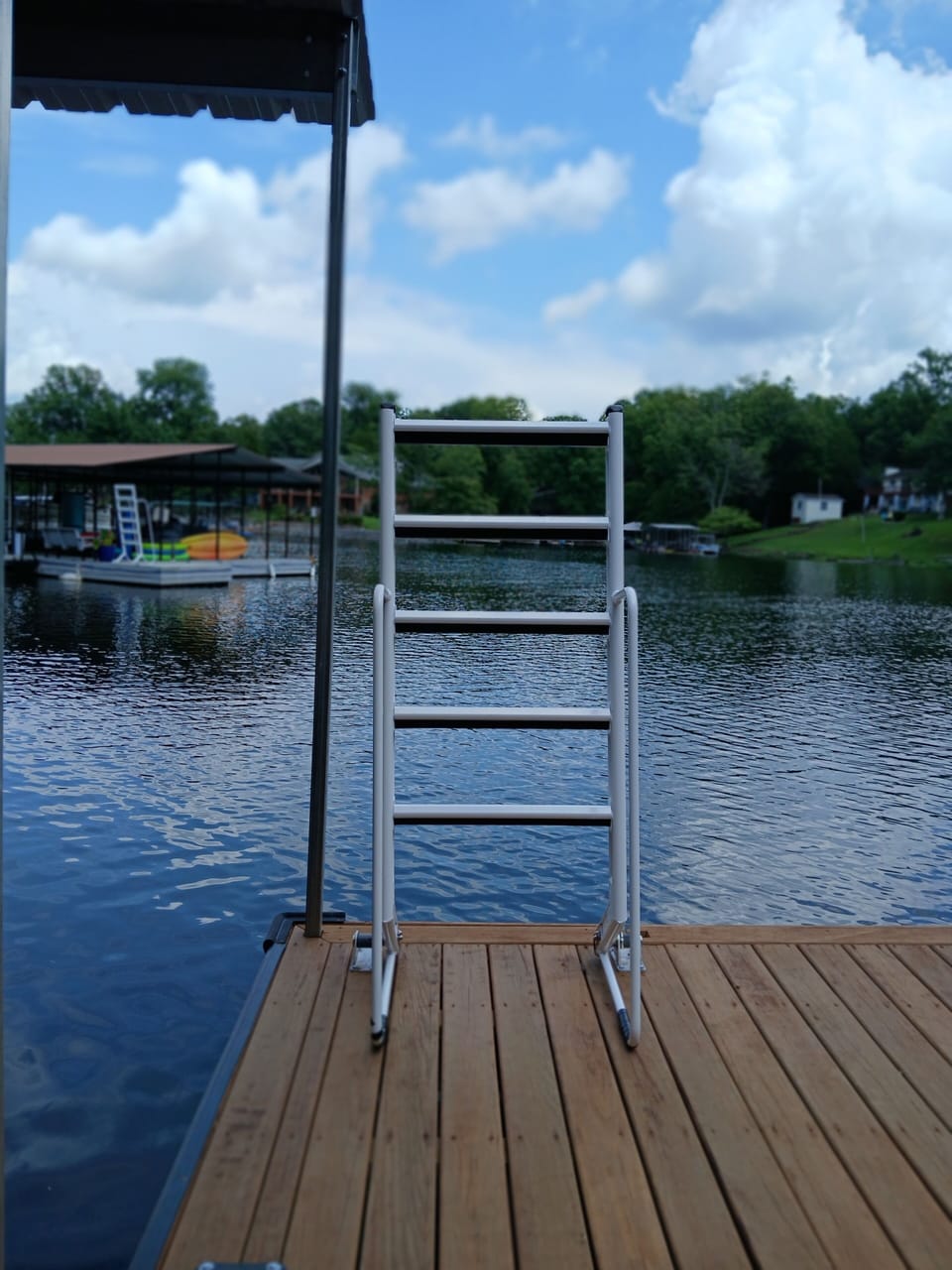 Ladder on dock swim area with lake view