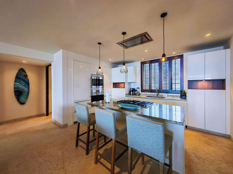 Gourmet Kitchen and Island

