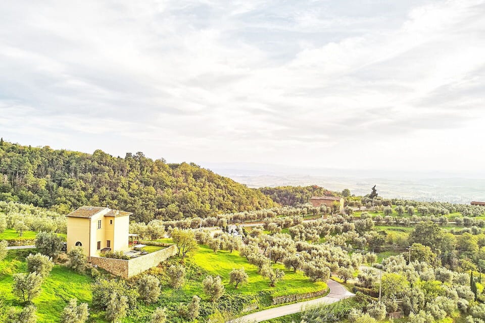 Outdoor, Scenic View
